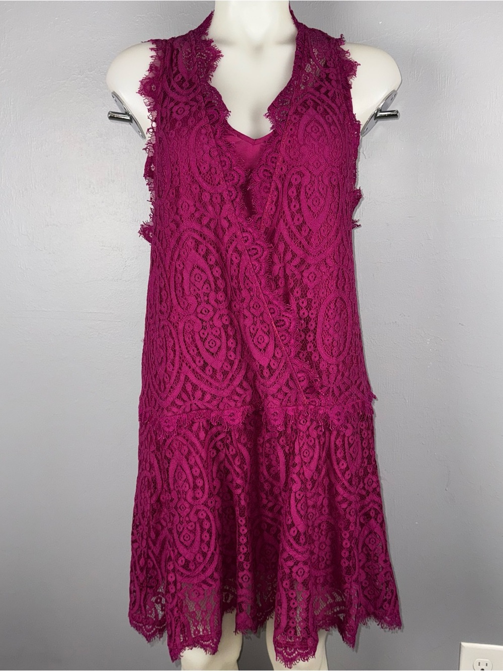 Free People Heart In Two Lace Dress Women’s M Pink Lined Drop Waist Sheer‎